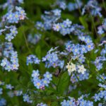 最新国产99热这里只有精品 29cr0gc