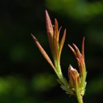 全免费观看三级 视频 6r50lkvr5