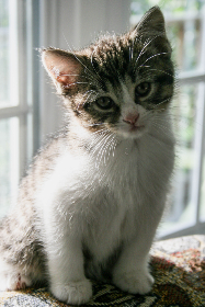 色五月丁香六月欧美综合 色五月丁香六月欧美综合