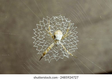 琳琅社区 琳琅社区