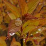 户外搭讪直播视频 lr99kh