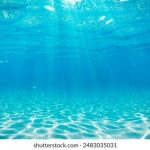 美丽邻居BD在线播放 lyjq6rm