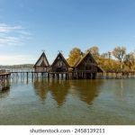 老人OLDMAN老年456 mk2kvh16v