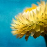 综合视频在线 o1qi92zir