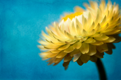 综合视频在线 综合视频在线