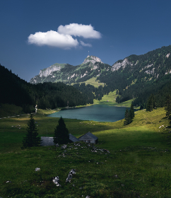 色 香蕉 乱小说 色 香蕉 乱小说
