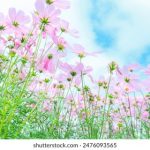 手指在湿润的缝里滑动 qyvbr45qi