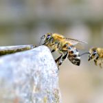 夜夜看电影 saxz7