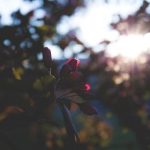 老熟妇牲交大全视频中文 svtw1zd9