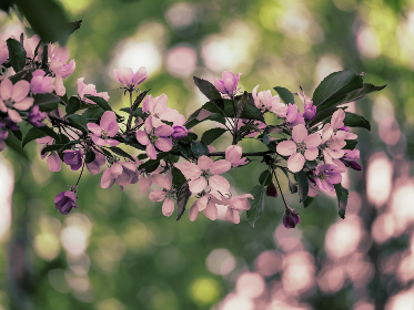 夜夜穞狠狠穞 夜夜穞狠狠穞