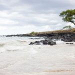 七七影视官网:畅享最新影视资源,尽在七七影视平台! 0mtt36g7i