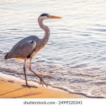 tv boxes with all channels:畅享全球频道,尽在一台电视盒子中! 875bqnf0t