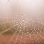 tv aerials for sale:高品质电视天线,满足您的观看需求与预算 8p394f1fy