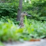 你一定会感谢我的这段视频,带你领略不一样的精彩 nad5g86