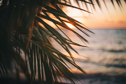 你懂的导航 蓝色:探索蓝色世界的无限可能与奇妙体验 你懂的导航 蓝色:探索蓝色世界的无限可能与奇妙体验