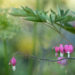 七七影院app:畅享最新电影与热门剧集的最佳选择 puyq8djr6c