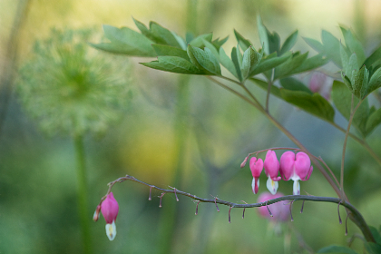 七七影院app:畅享最新电影与热门剧集的最佳选择 七七影院app:畅享最新电影与热门剧集的最佳选择